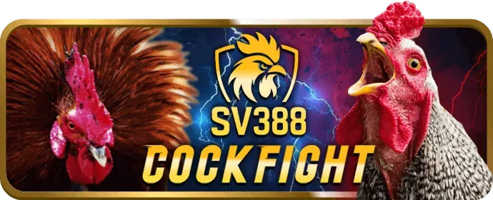 Cá cược bóng rổ 89win